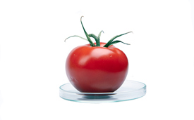 Én ud af tre ved, hvad GMO er